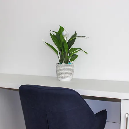 Masterpiece Vista شقة